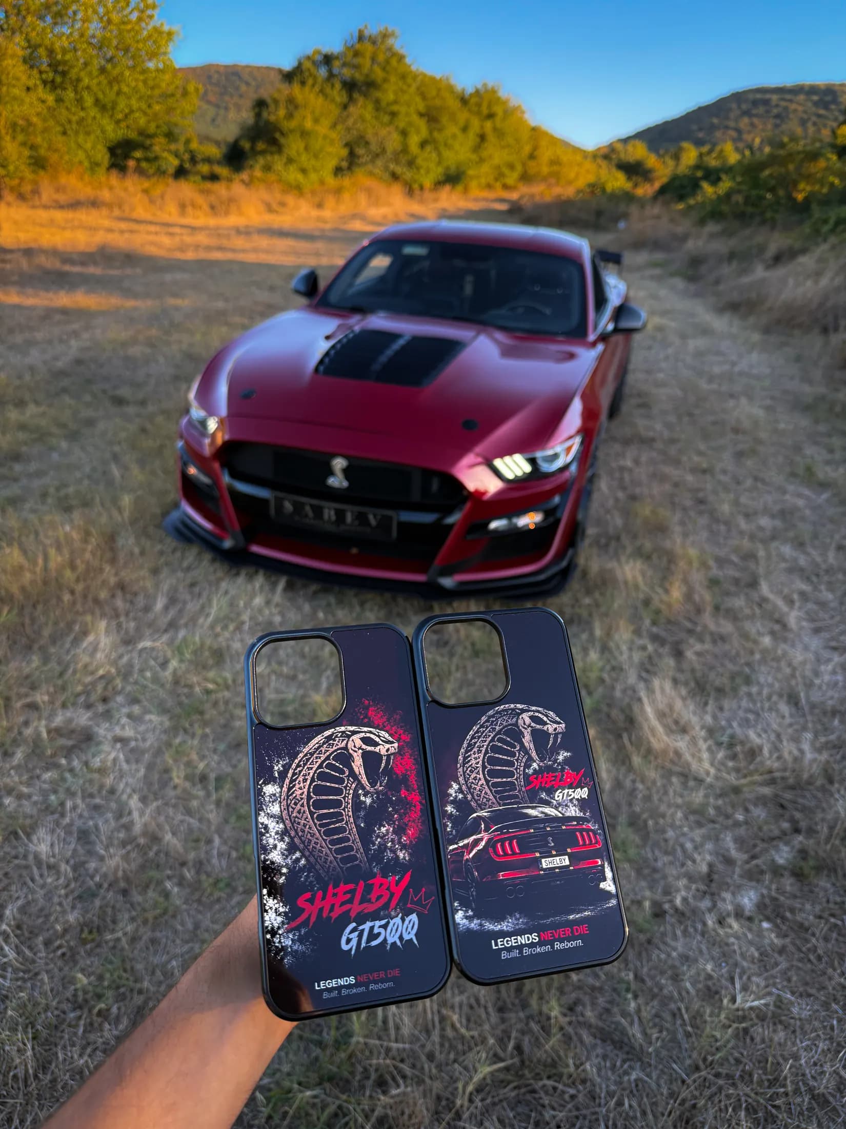 Калъфи Shelby пред Mustang GT500